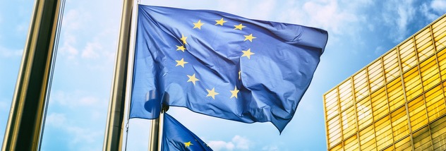 Вебінар з історії Європейського Союзу